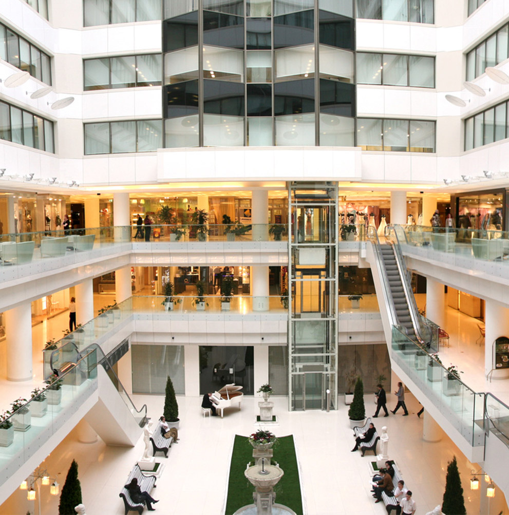 Sector Grandes Superficies