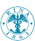 Certificado RINA